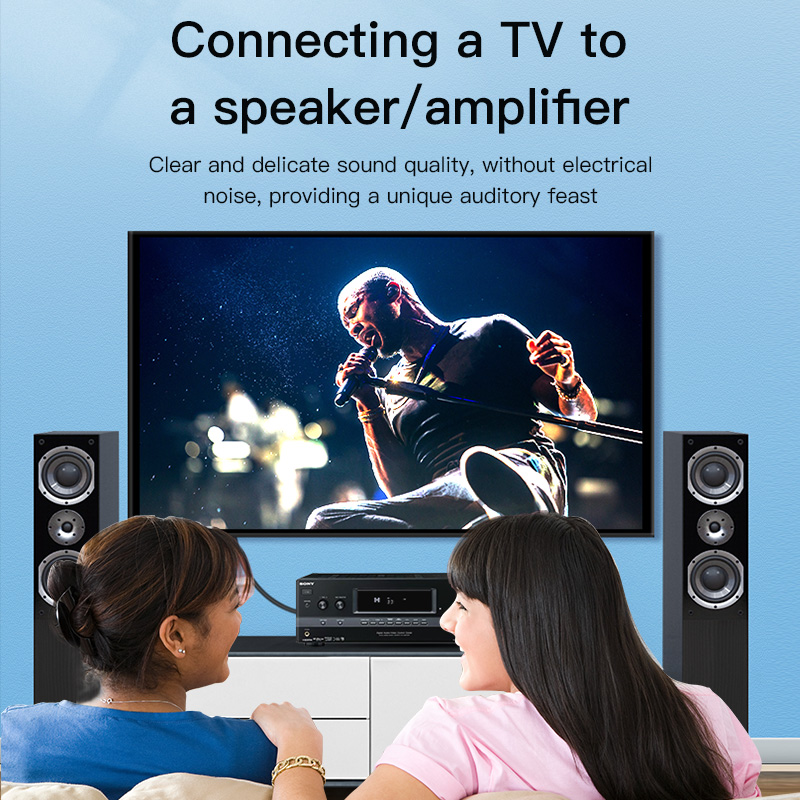 Cable RCA CHOSEAL, Cable de Au - Home Cinema Sound System reseña y precio